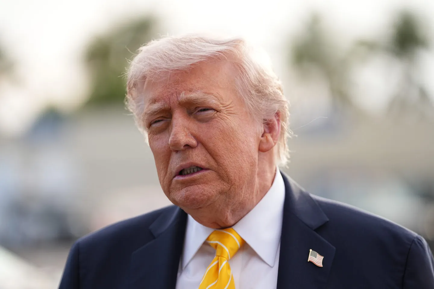 trump — character reference for Happy 80th Birthday, trump!